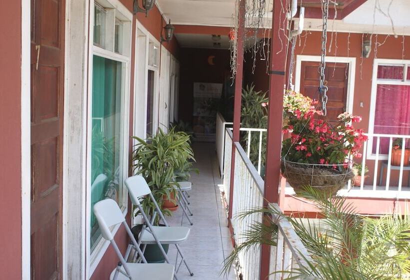 호텔 & Hostel Sloth Backpackers