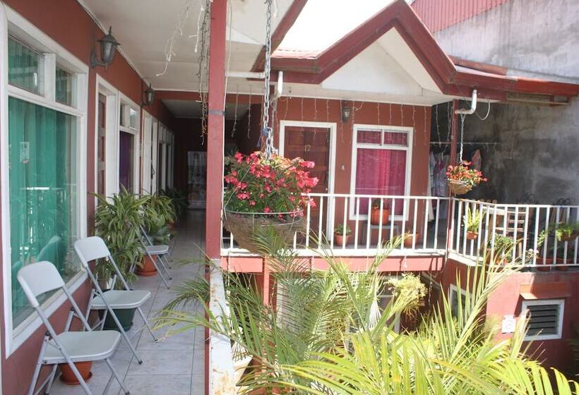 호텔 & Hostel Sloth Backpackers