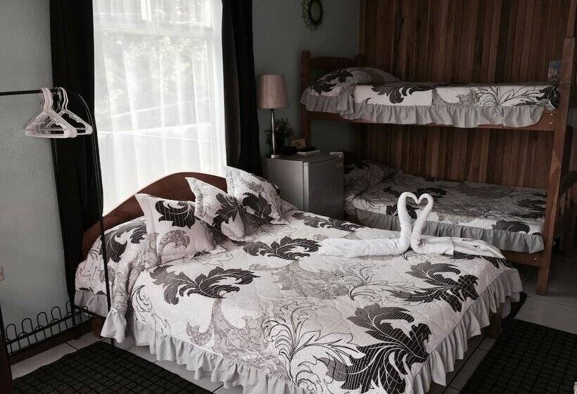 호텔 & Hostel Sloth Backpackers