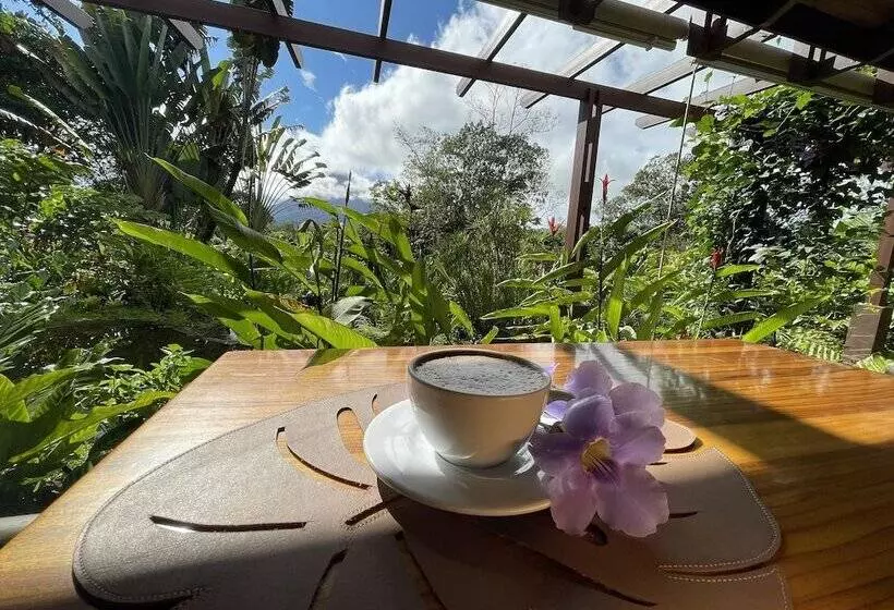 ホテル Lost Iguana Resort And Spa