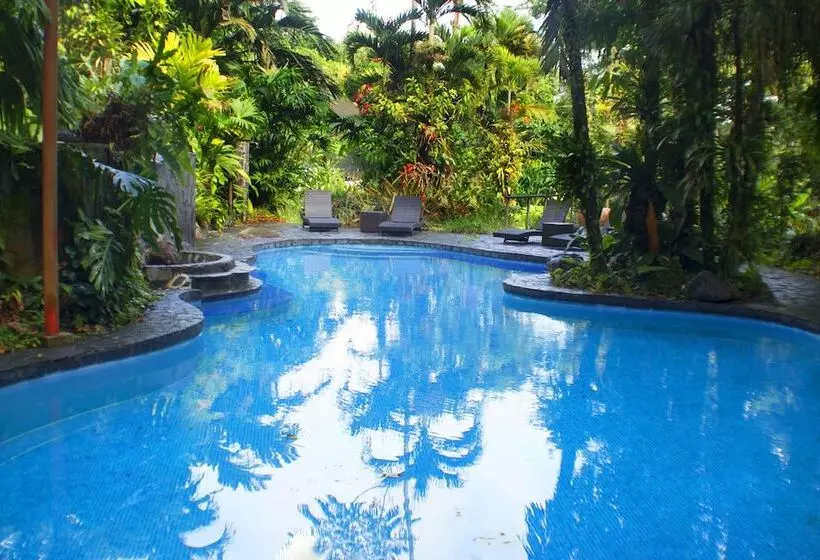 ホテル Lost Iguana Resort And Spa