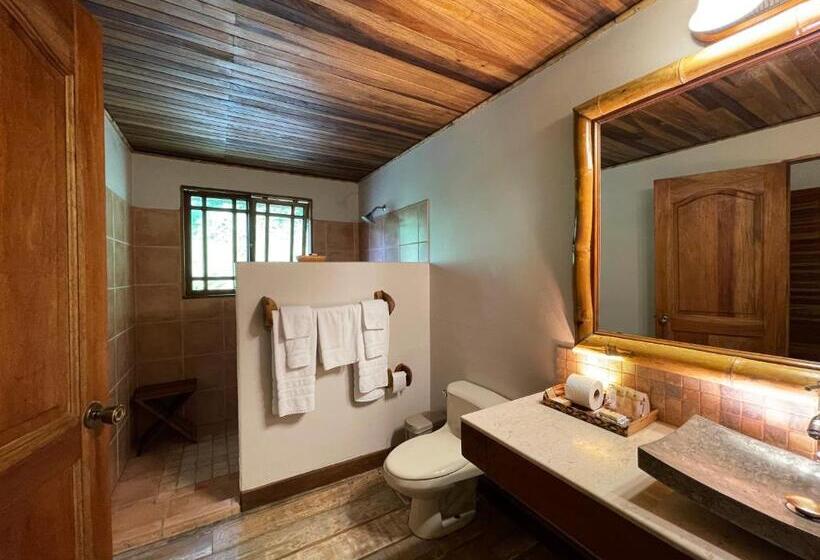 Отель Lost Iguana Resort And Spa