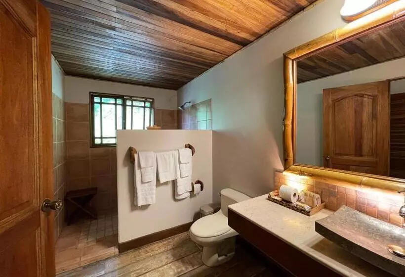 ホテル Lost Iguana Resort And Spa