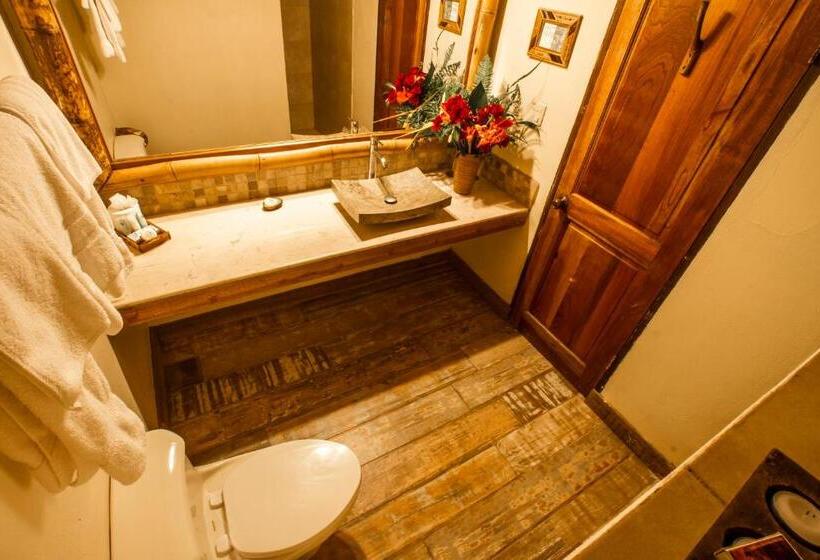 Отель Lost Iguana Resort And Spa