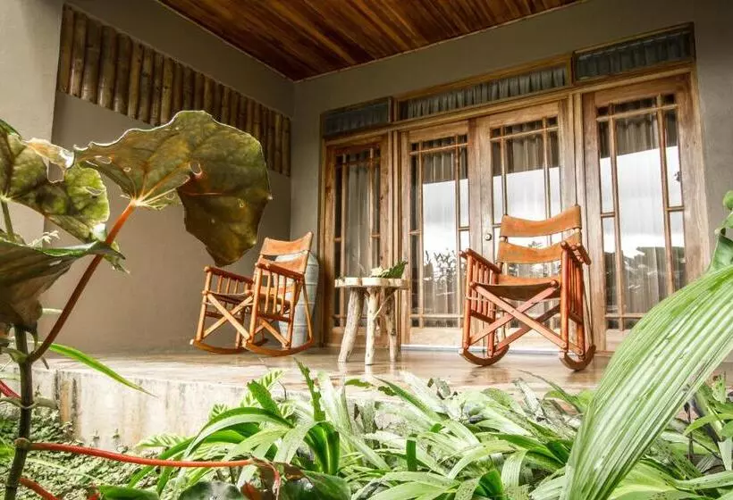 ホテル Lost Iguana Resort And Spa