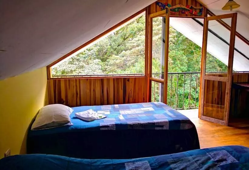 ホテル Monteverde Ecolodge