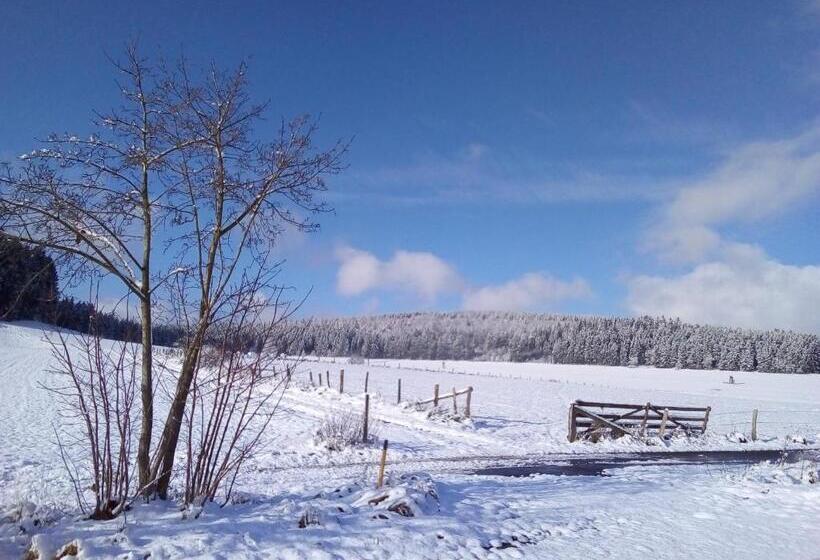 فندق Pension Orketal