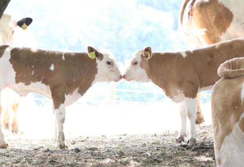 فندق Pension Orketal