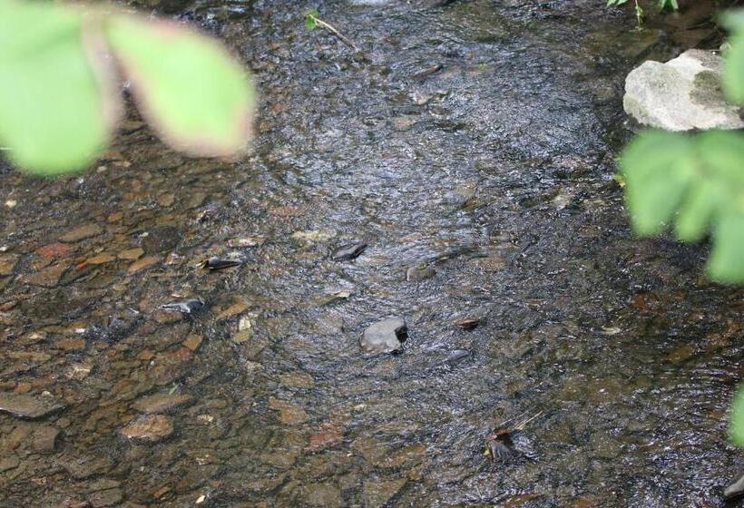 فندق Pension Orketal