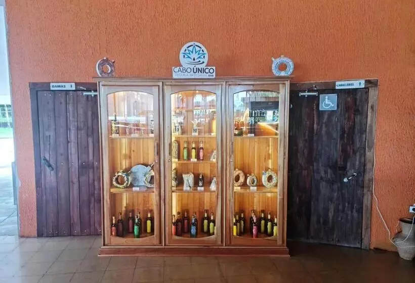 Hotelli Samoa Del Sur