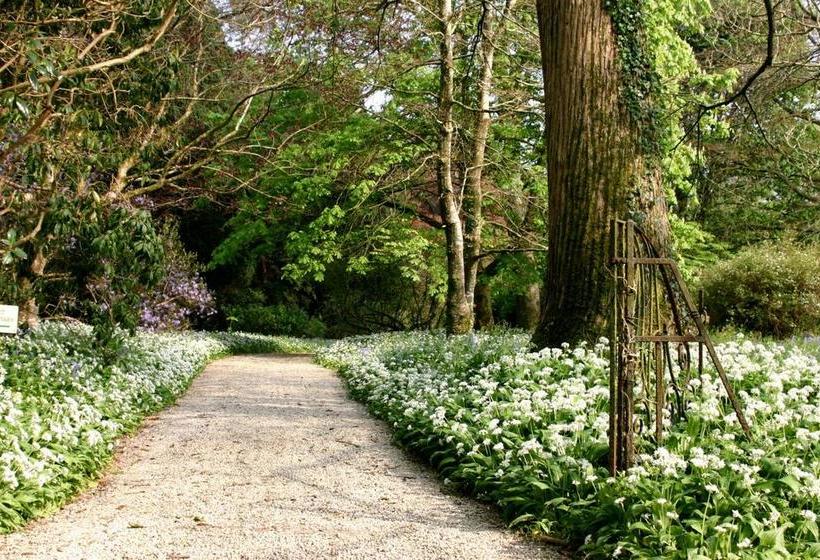 בית מלון כפרי Tredethy House