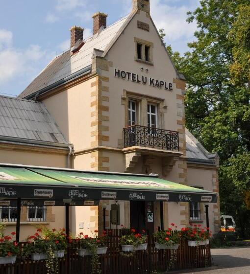 בית מלון כפרי U Kaple