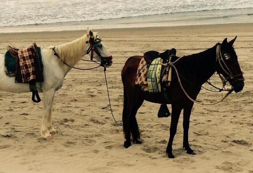 ホテル Villa Sirena