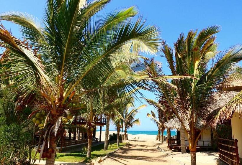 ホテル Villa Sirena