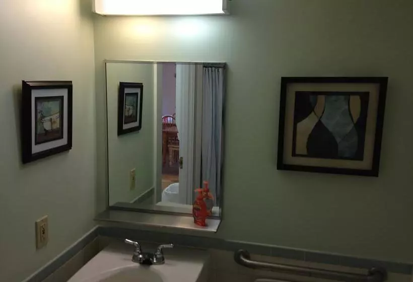 ホテル White Mountains Hostel