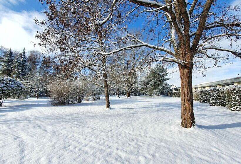 هتل Zum Rittmeister
