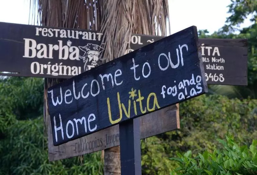 هتل Big Bamboo De Uvita