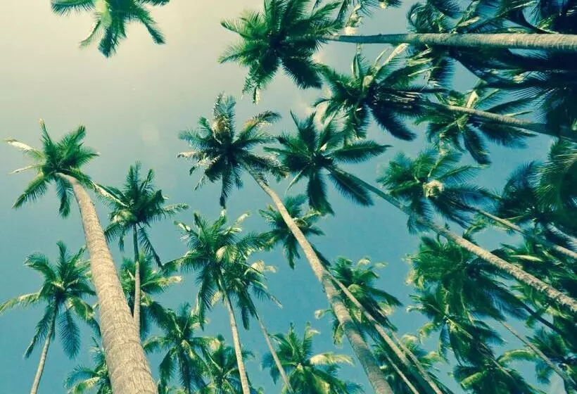 هتل Big Bamboo De Uvita