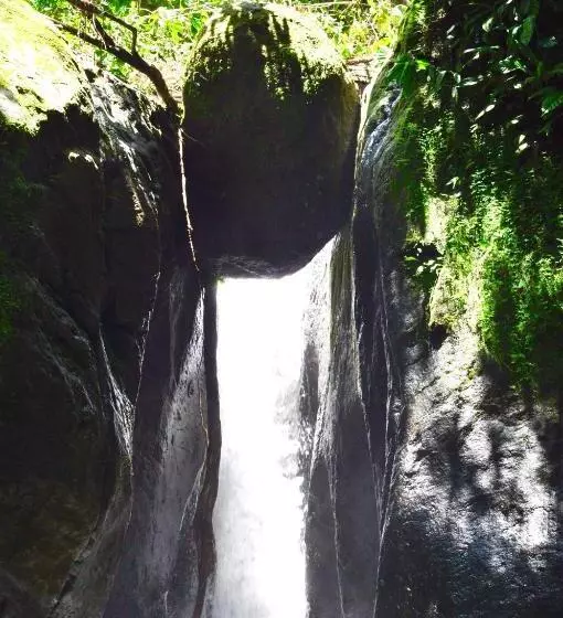 هتل Big Bamboo De Uvita