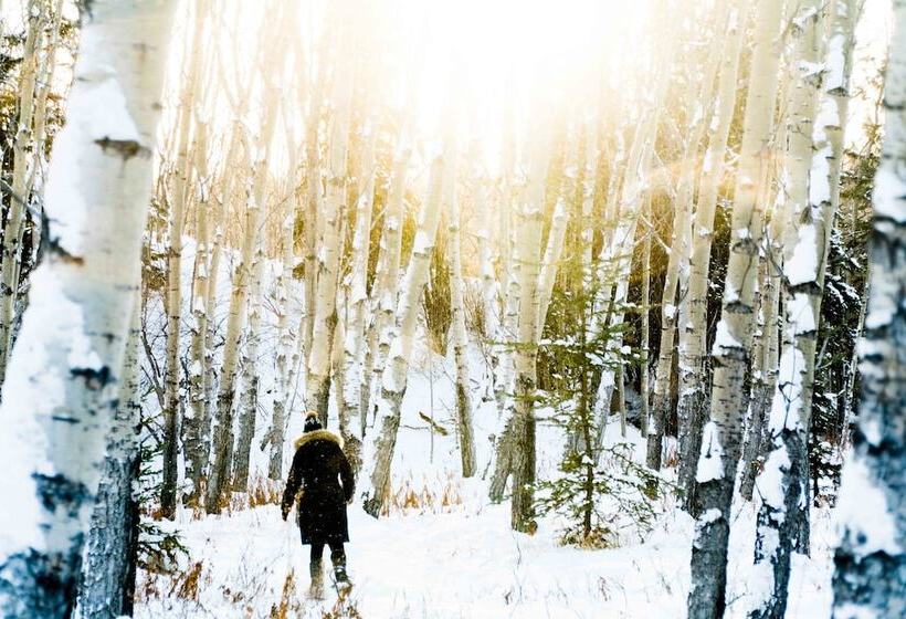 ホテル Boréale Ranch