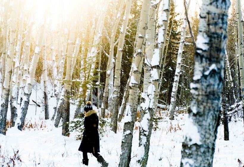 ホテル Boréale Ranch