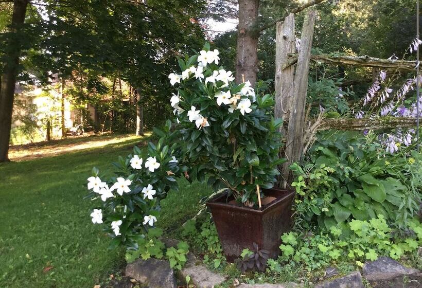 Hotel Burleys Gardens And Suite