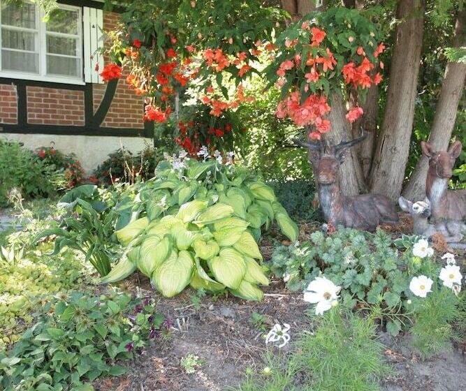 Hotel Burleys Gardens And Suite