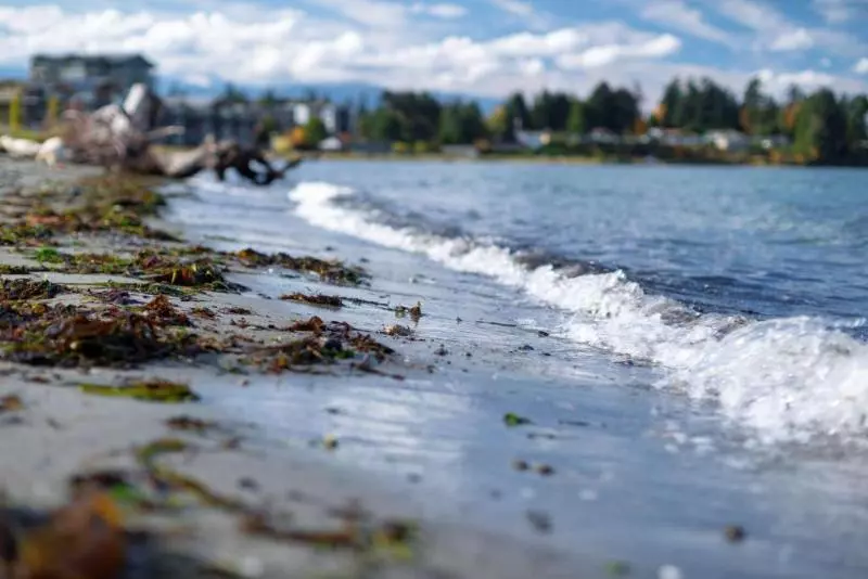 ホテル Coast Parksville