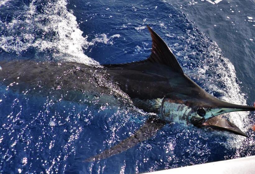 בית מלון כפרי Fish Hook Marina