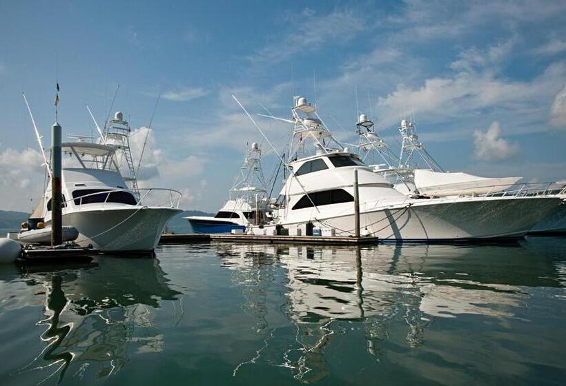 בית מלון כפרי Fish Hook Marina