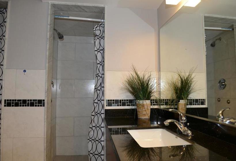 فندق Kensington College Backpackers