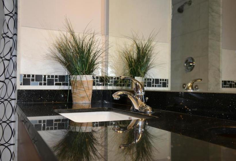 فندق Kensington College Backpackers