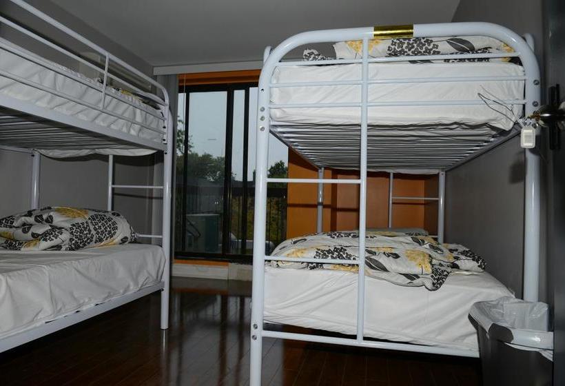 فندق Kensington College Backpackers