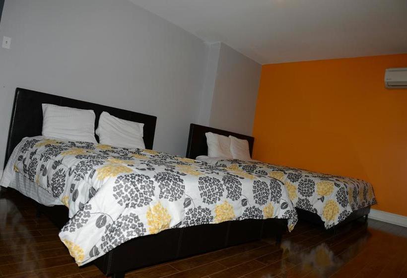 فندق Kensington College Backpackers