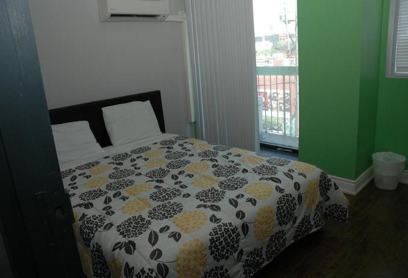 فندق Kensington College Backpackers