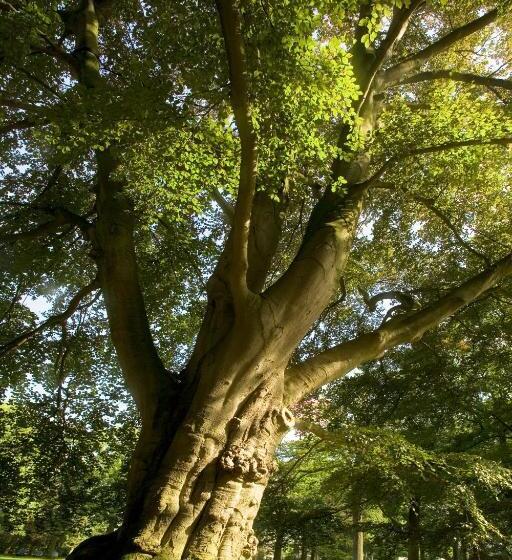 ホテル Landgoed Huize Bergen Den Bosch  Vught