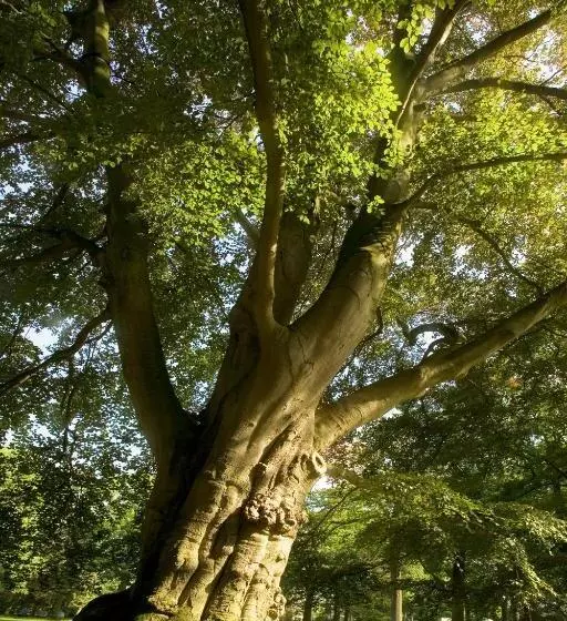 ホテル Landgoed Huize Bergen Den Bosch Vught