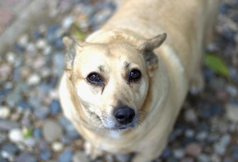 호텔 Saint Du Barrys