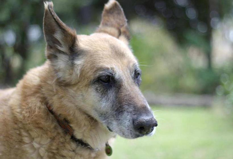 호텔 Saint Du Barrys