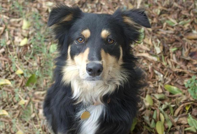 호텔 Saint Du Barrys