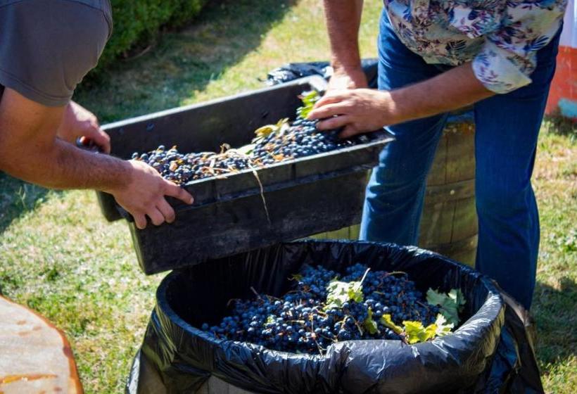 호텔 Todoroff Wine Residence