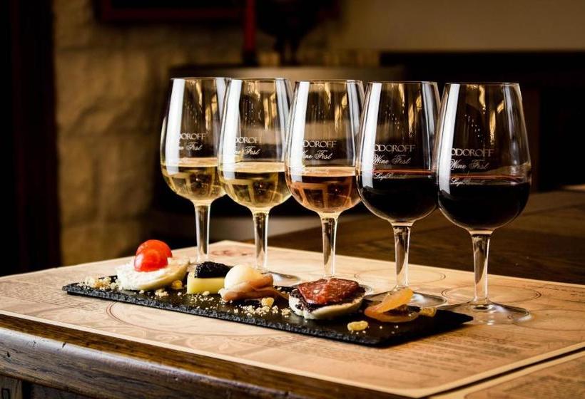 호텔 Todoroff Wine Residence