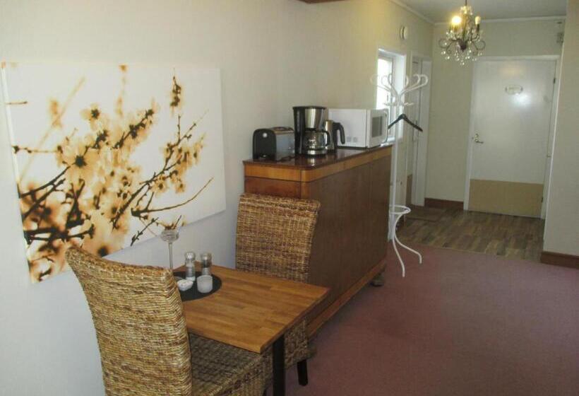 ホテル Vilan I Orbaden