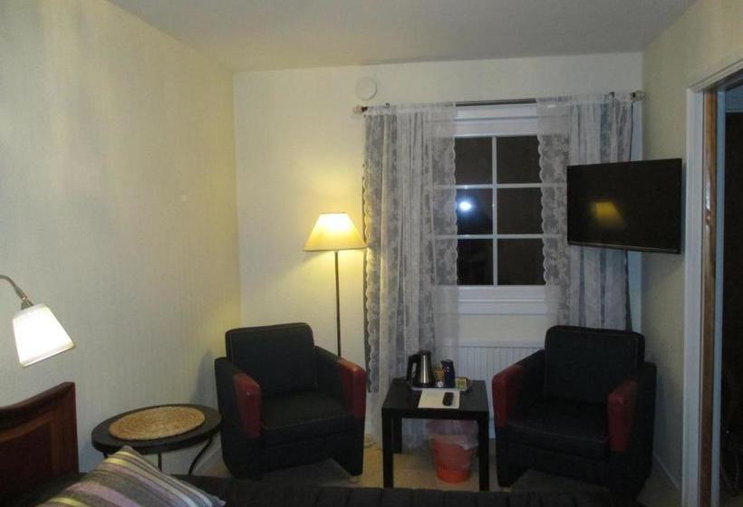 ホテル Vilan I Orbaden