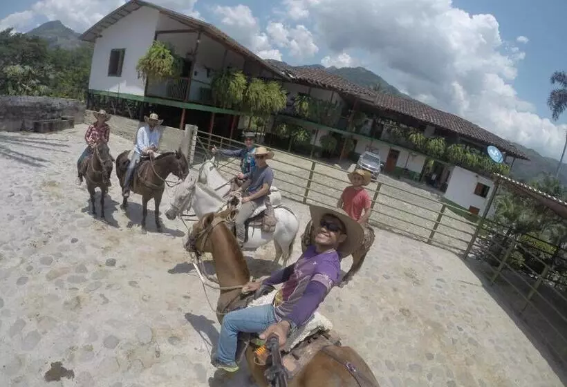 Retkeilymaja Golden Frog Manizales
