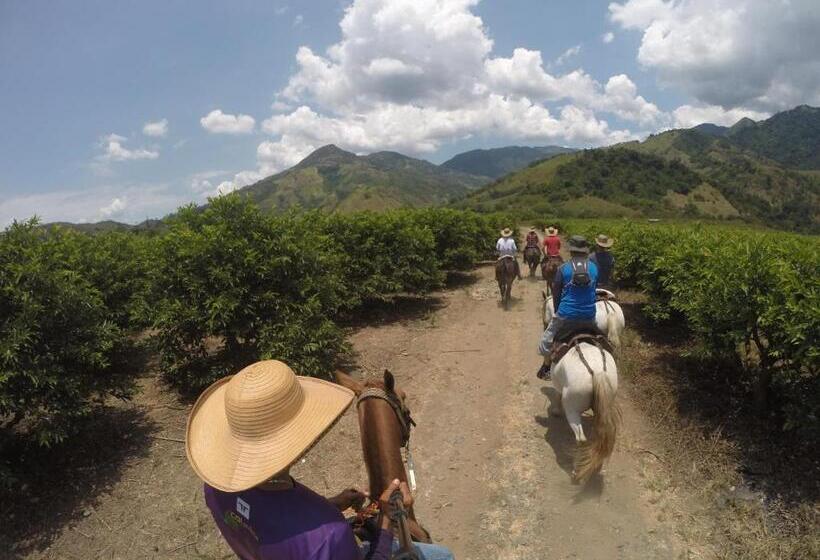 Общежитие Golden Frog Manizales