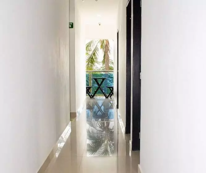 ユースホステル Hostal Viña Del Mar
