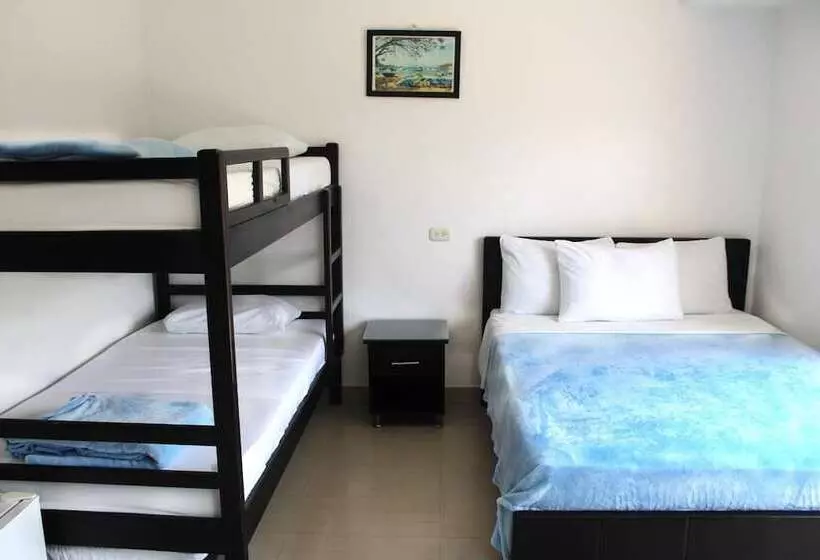 ユースホステル Hostal Viña Del Mar