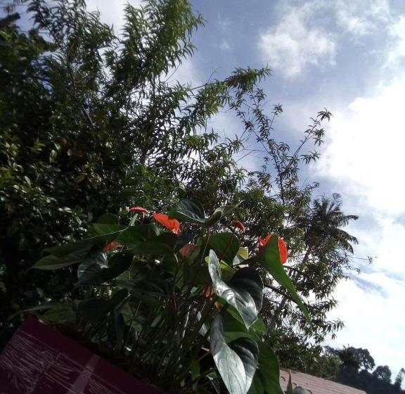 호텔 Hostal Casa De Vicente