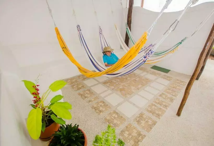 ホテル Hostal Sueños Silvestres